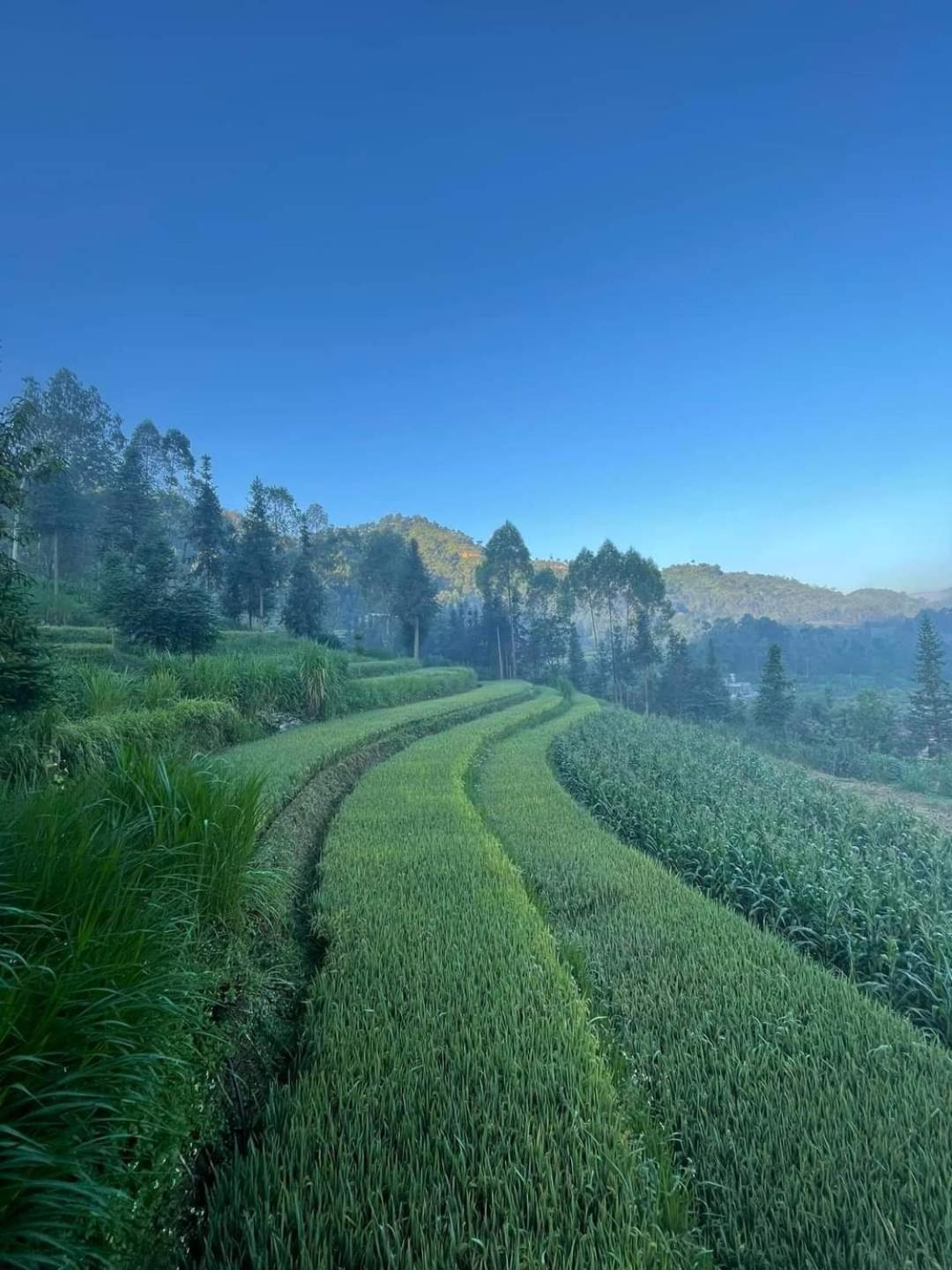 Dong Van Hmong Homestay Esterno foto